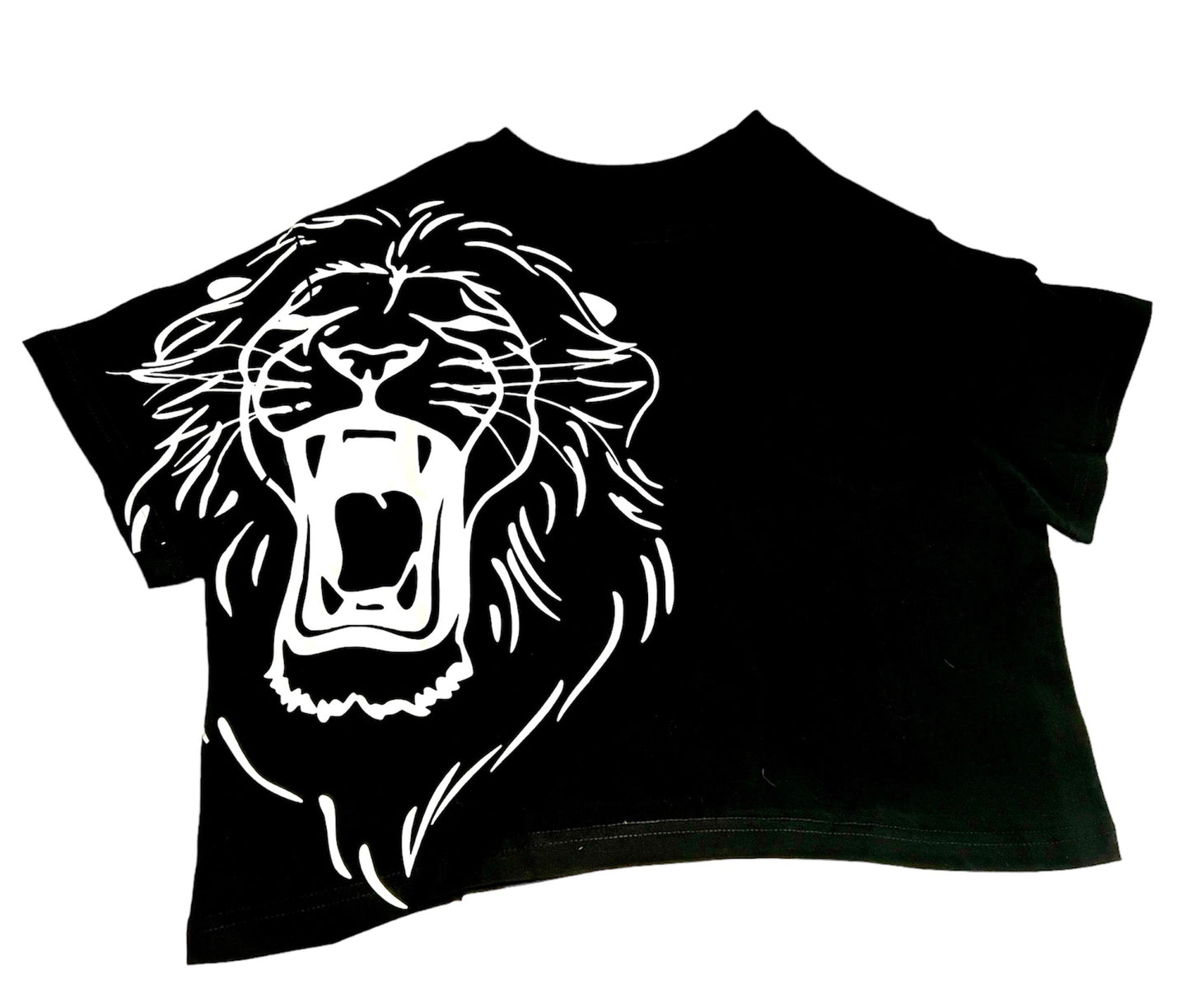 PHIL4:13 cropped T Shirt