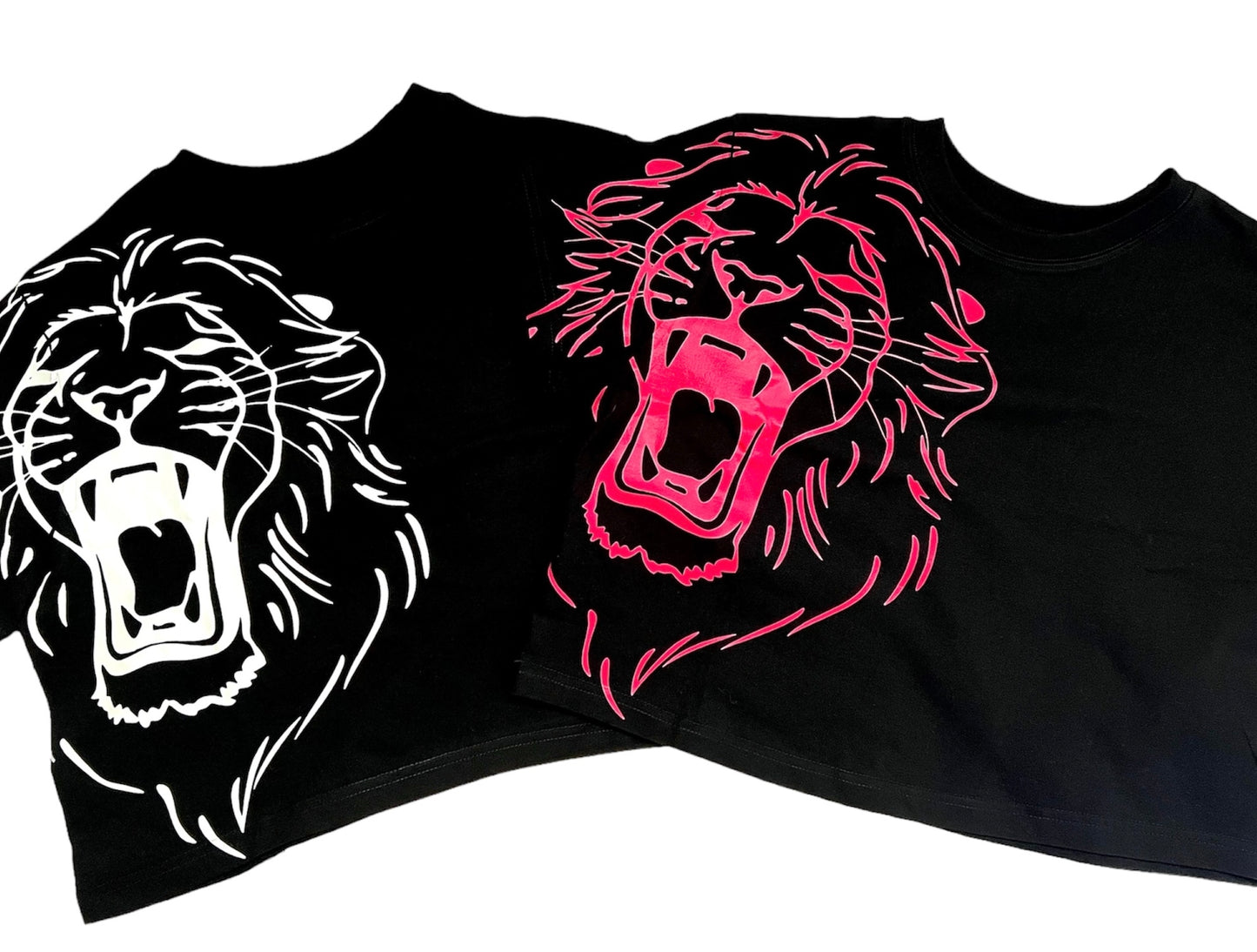 PHIL4:13 cropped T Shirt