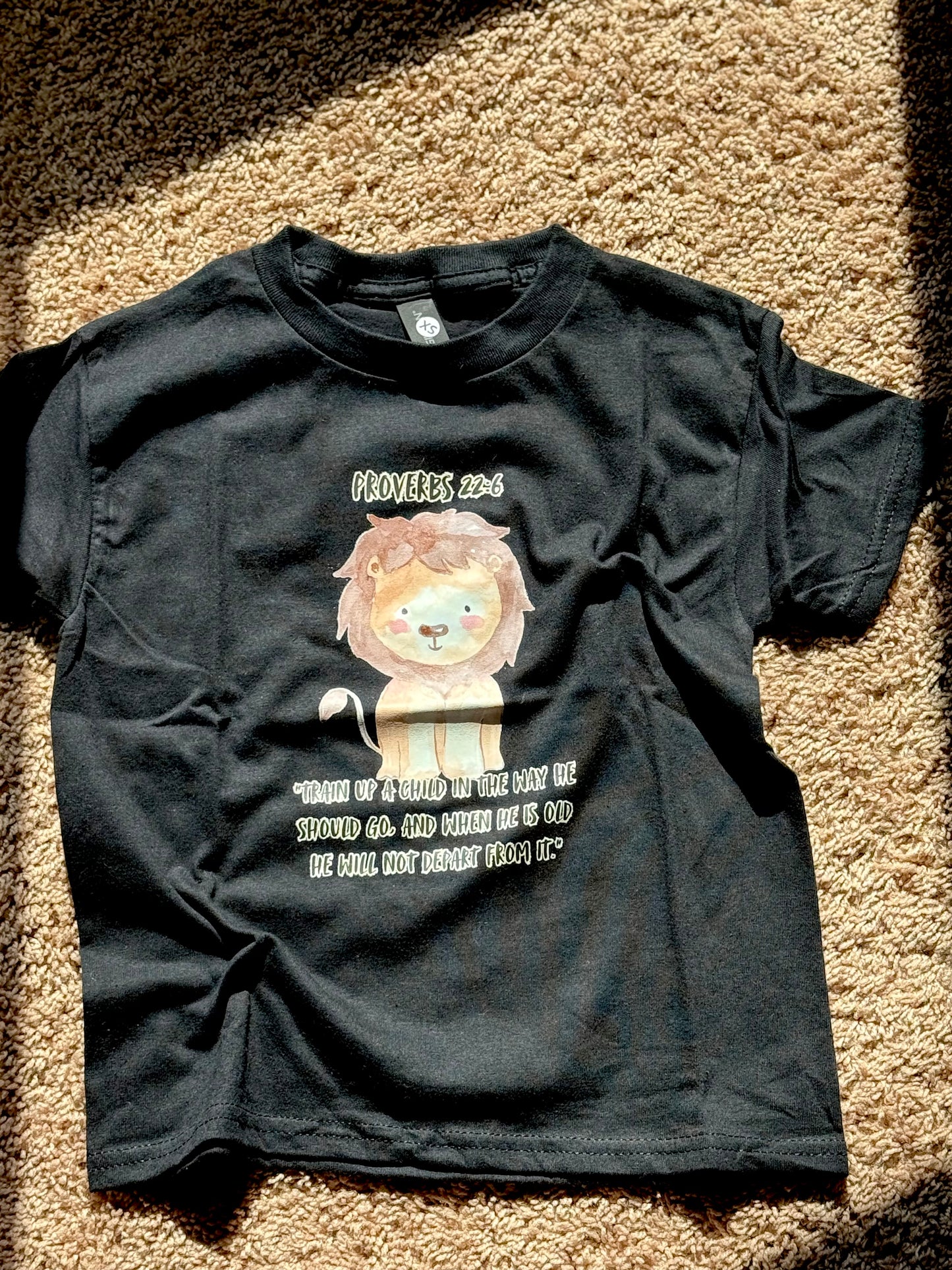 Little boy proverbs t shirt