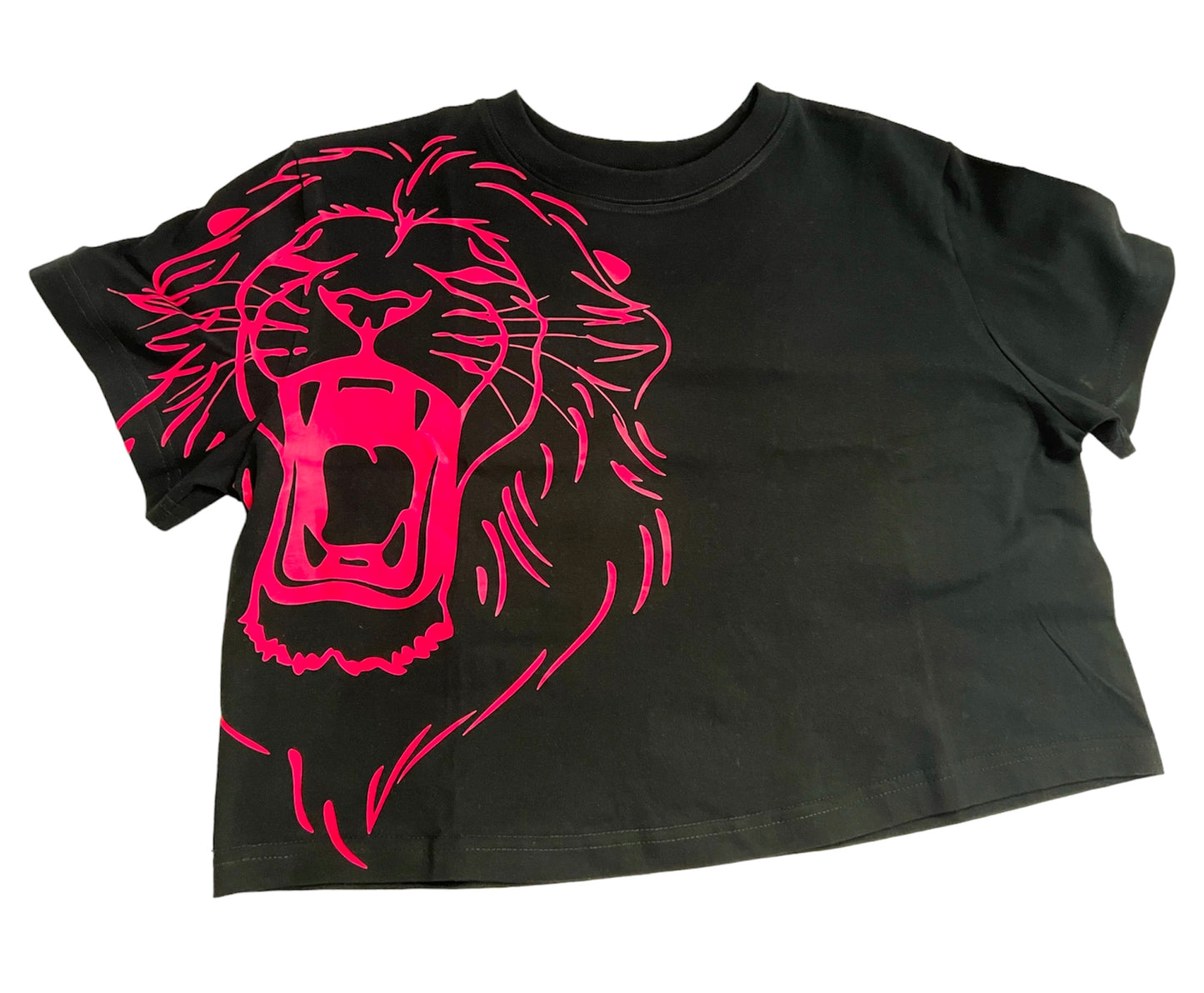 PHIL4:13 cropped T Shirt