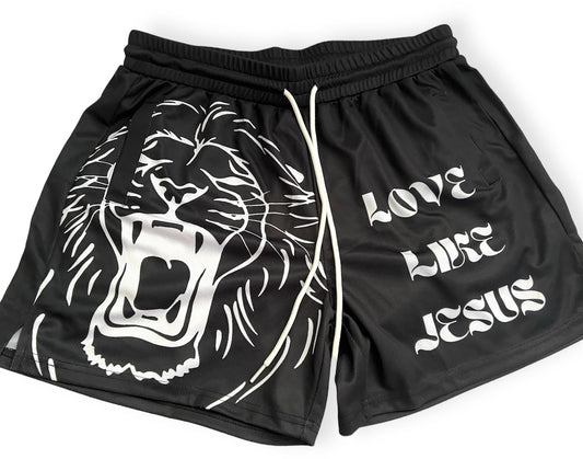 LLJ MESH SHORTS