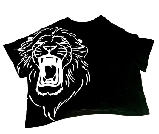 PHIL4:13 cropped T Shirt